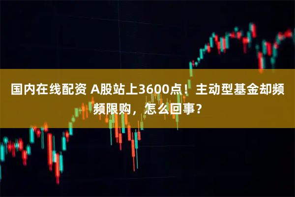 国内在线配资 A股站上3600点！主动型基金却频频限购，怎么回事？
