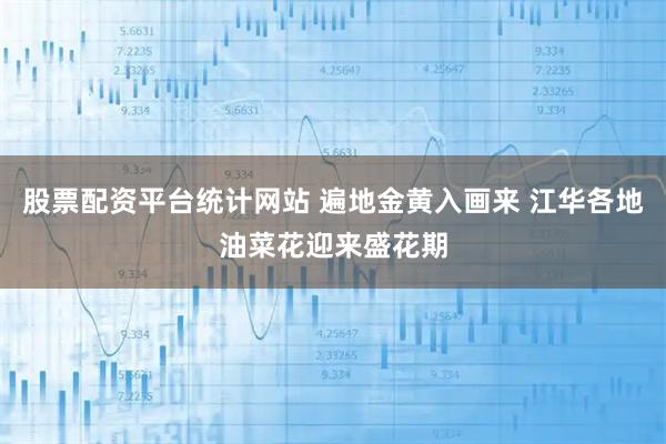 股票配资平台统计网站 遍地金黄入画来 江华各地油菜花迎来盛花期