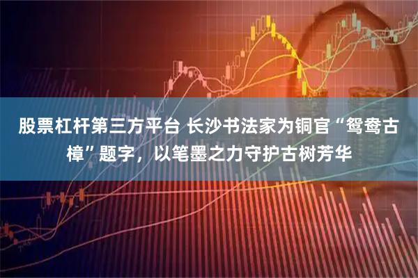 股票杠杆第三方平台 长沙书法家为铜官“鸳鸯古樟”题字，以笔墨之力守护古树芳华