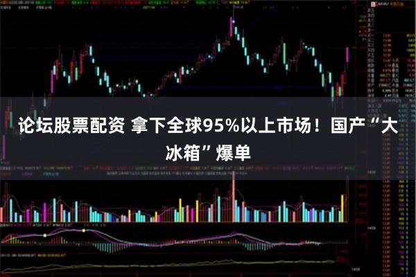论坛股票配资 拿下全球95%以上市场！国产“大冰箱”爆单